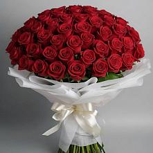 Букет 101 Красная роза Блэк Мэджик в Гнилом