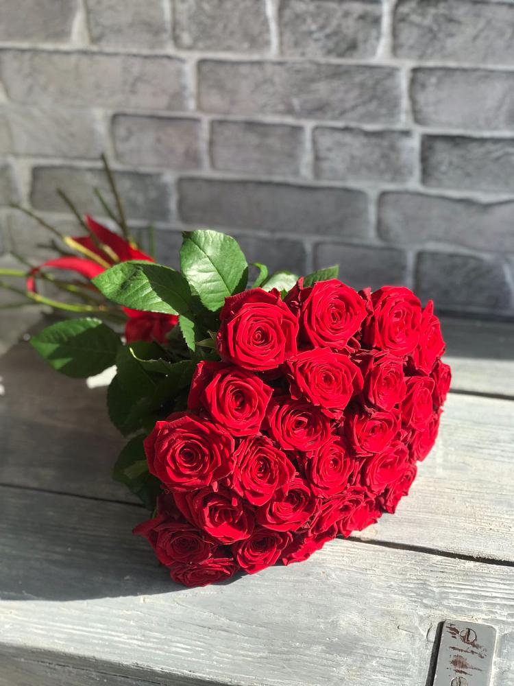 Букет Красные розы Фридом в Гнилом