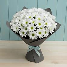 Букет цветов из:  Хризантемы #REPLACE_PRED# Гнилом