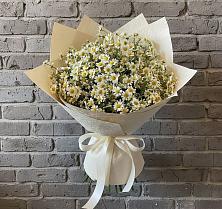 Букет цветов из:  Ромашки в Гнилом