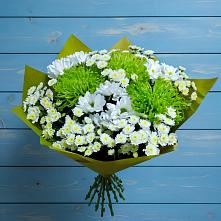 Букет цветов из:  Хризантемы в Гнилом