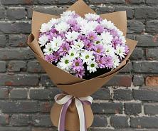 Букет цветов из:  Хризантемы в Гнилом