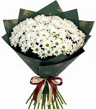 Букет цветов из:  Хризантемы в Гнилом