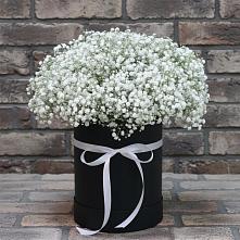 Цветочная композиция из Гипсофила в шляпной коробке в Гнилом