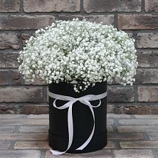 Цветочная композиция из Гипсофила в шляпной коробке в Гнилом