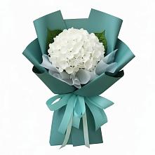 Букет цветов из:  Гортензия в Гнилом